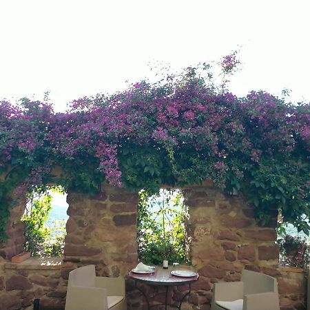 El Jardin Vertical Vilafames Luaran gambar