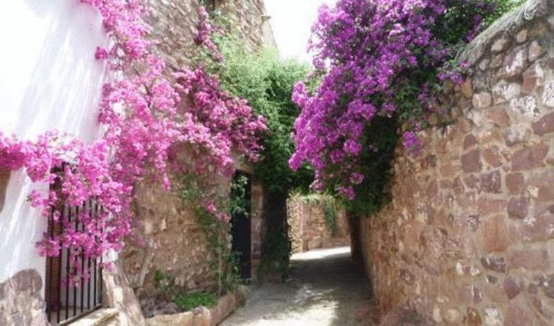 El Jardin Vertical Vilafames Luaran gambar